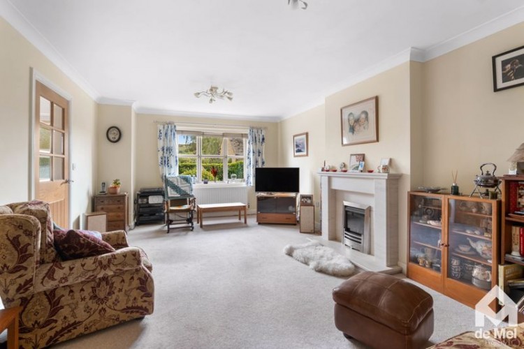 Images for The Finches, Greet