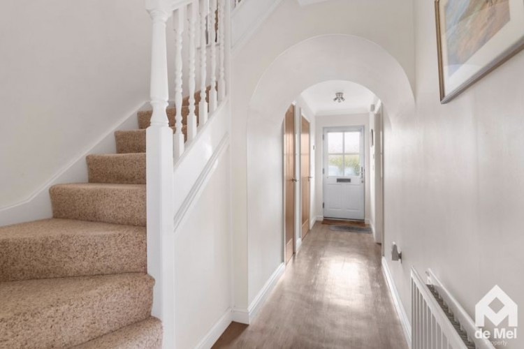 Images for The Finches, Greet